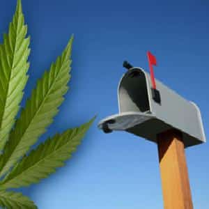 usps mail marijuana fed ex