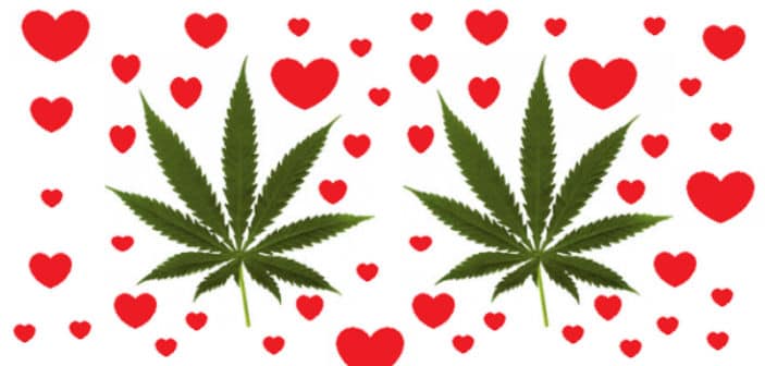 Stoner Sweetie Valentines Day gifts