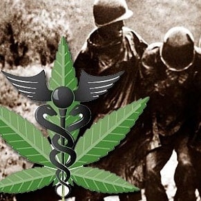 veterans medical marijuana harborside
