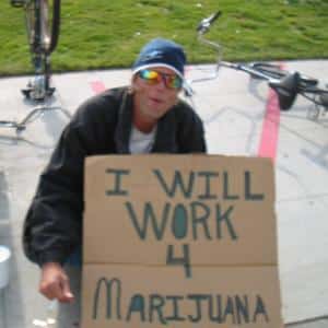 work for marijuana