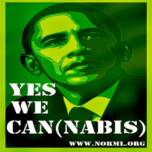 Yes we cannabis!