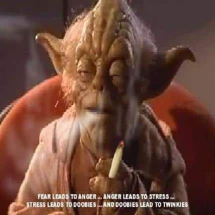 Stoned Yoda