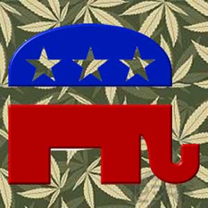bill o'reilly marijuana policy project
