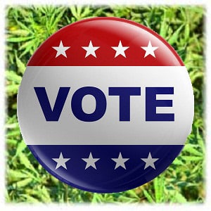 vote for marijuana medical
