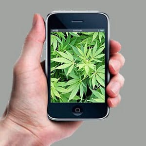 marijuana phone