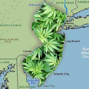new jersey medical cannabis