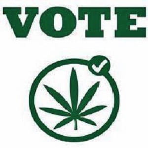 vote for cannabis