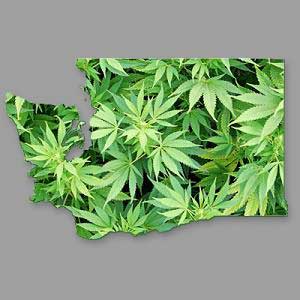 washington state marijuana