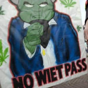 wiet pass weed amsterdam dutch